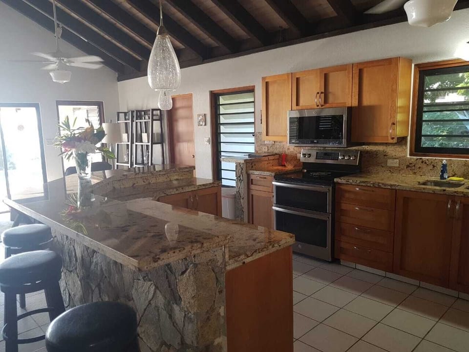 Main Pavillion - kitchen and bar area