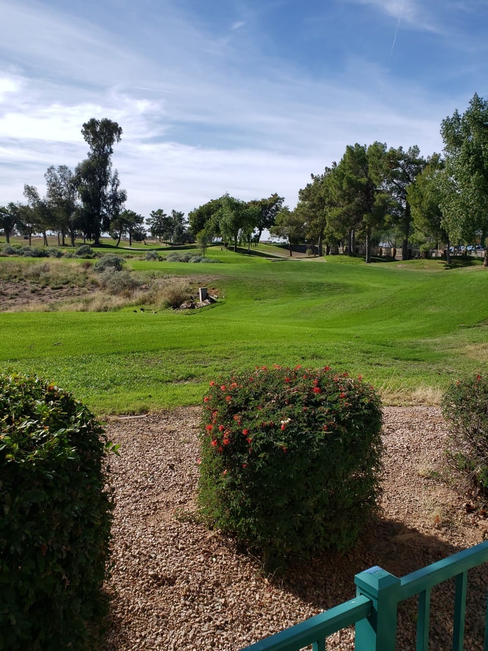 View of Golf Course from Patio (9th Hole Tee-Off)