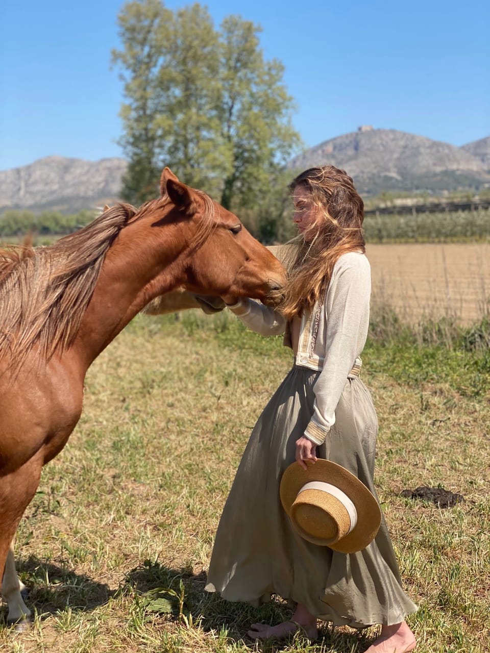 Our mares give birth every year in the property