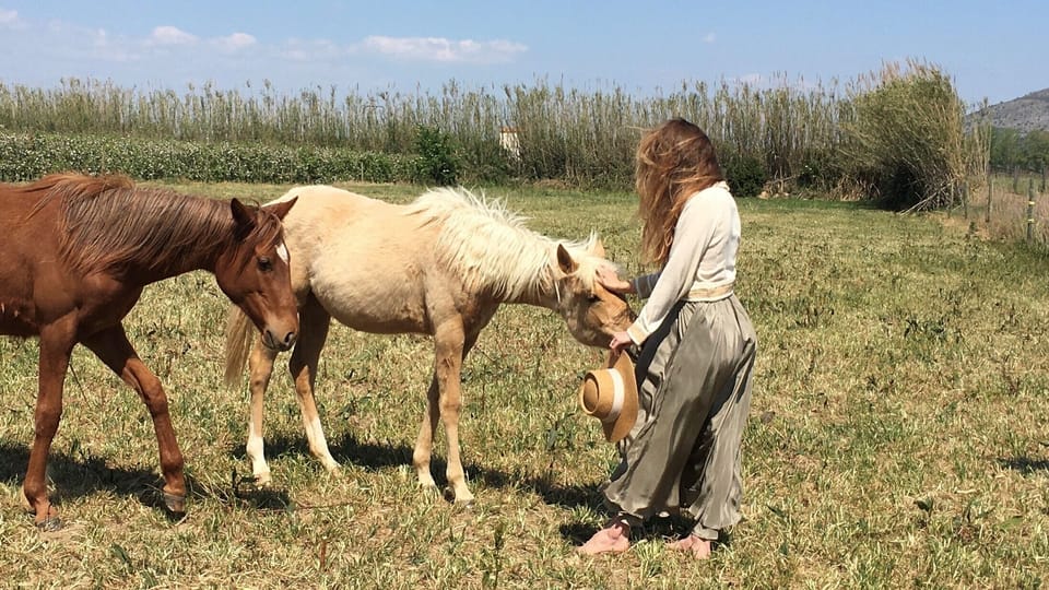 Second year foals
