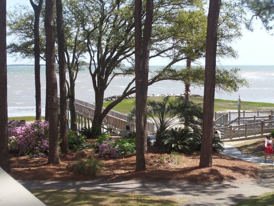 View from deck/balcony