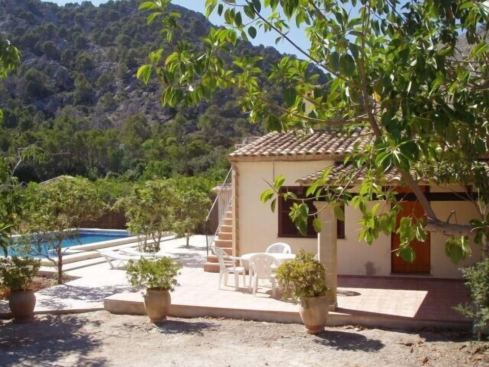 The Property