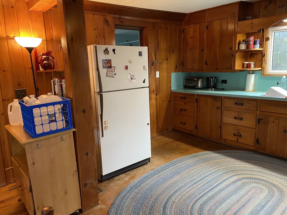 Kitchen - fridge, counter, storage