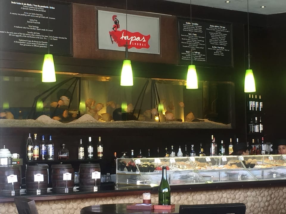 Tapas - small delicious plates!