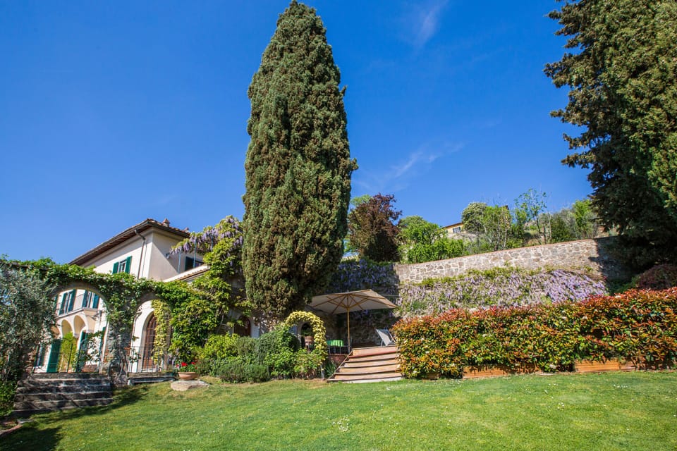 The Garden