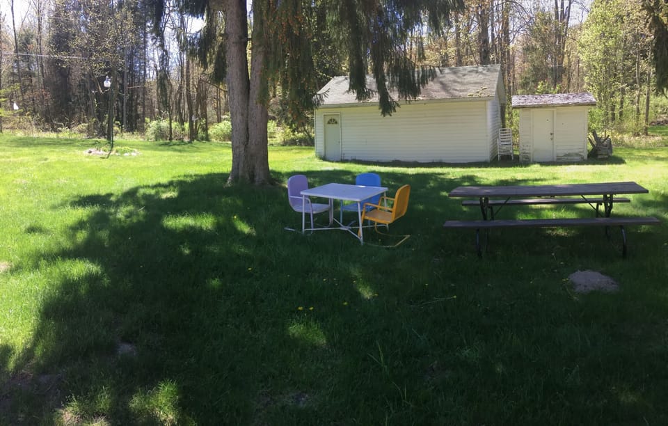 Another Backyard View