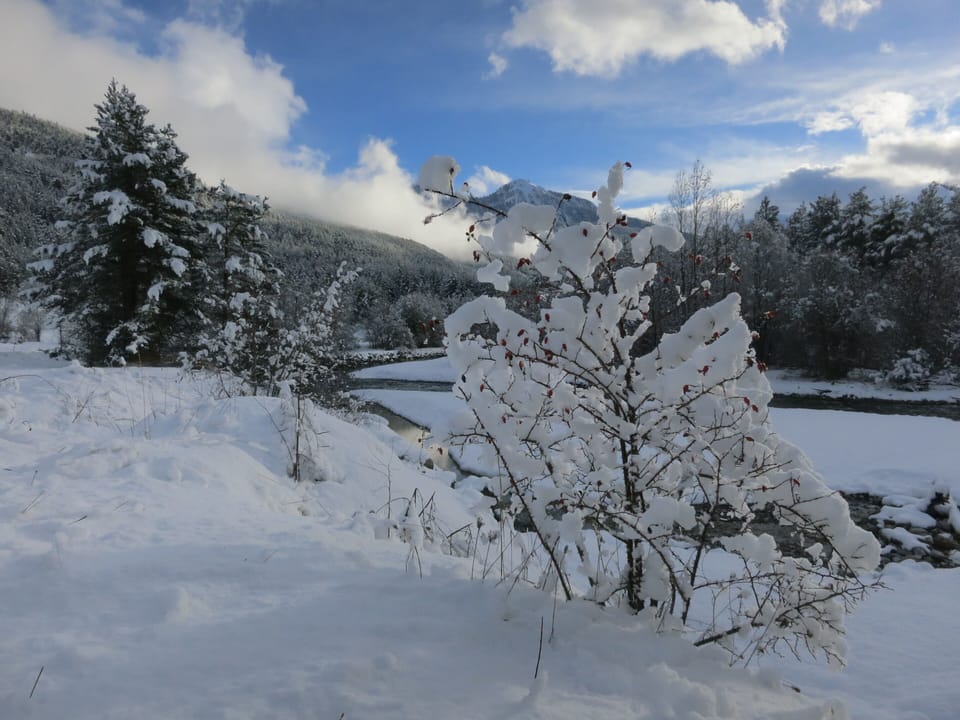 Snow and ski sports