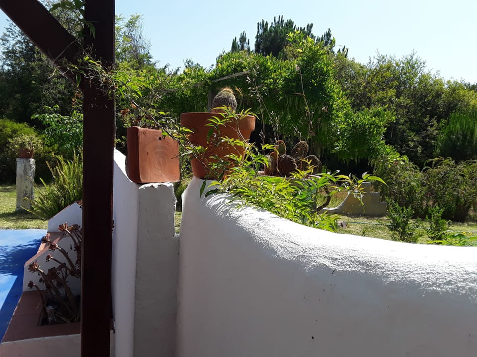 Garden Detail