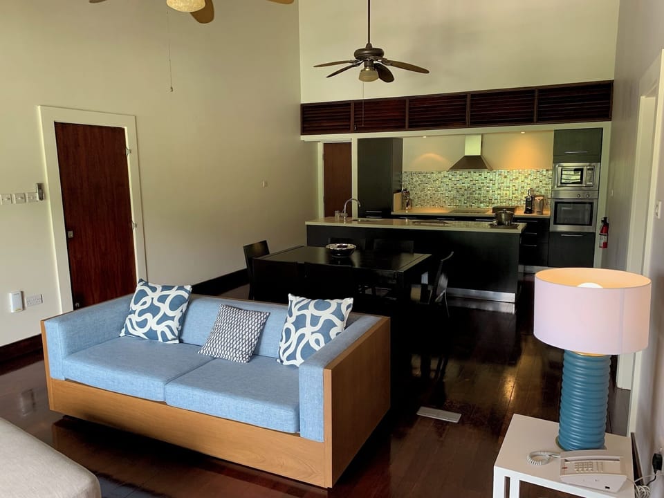 Living area with dining table and kitchen