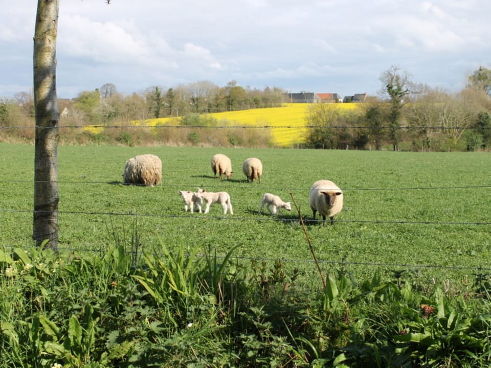 View across from entrance to property