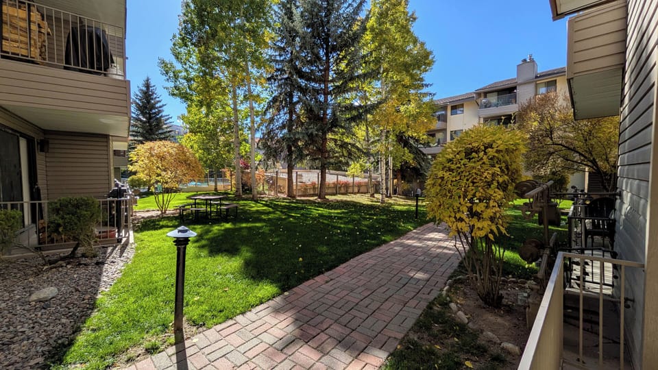 View from patio