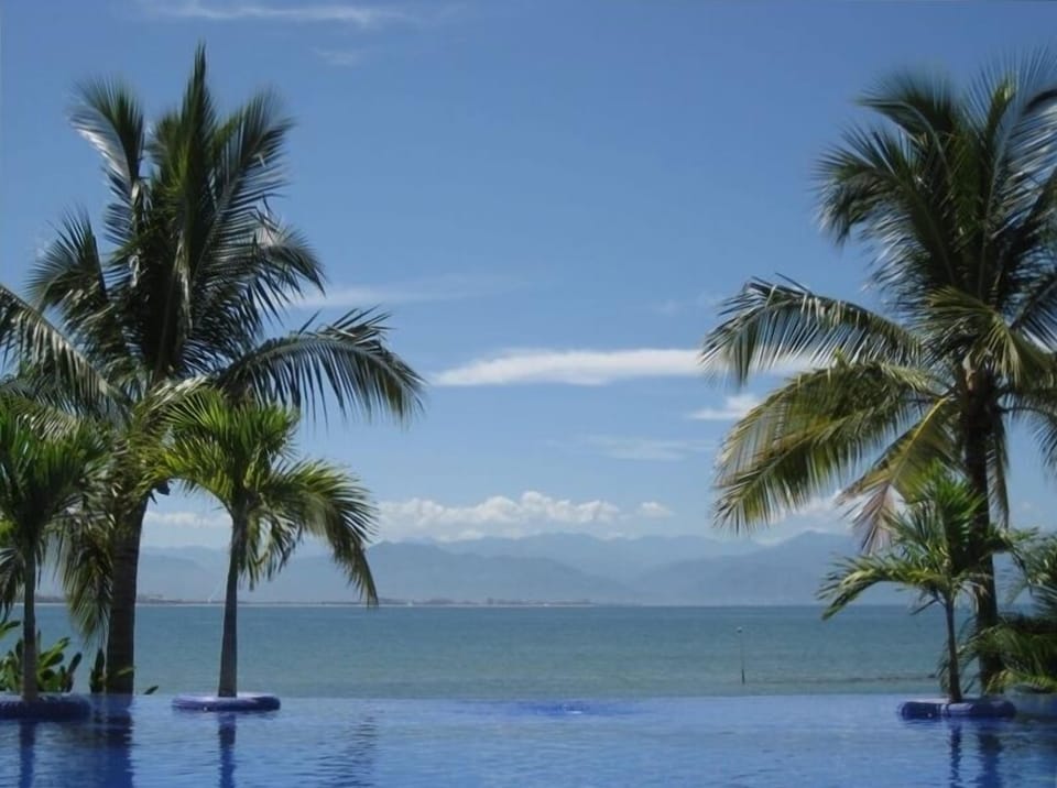 Beautiful ocean front Infinity pool next to Palapa bar looking out to the Bay