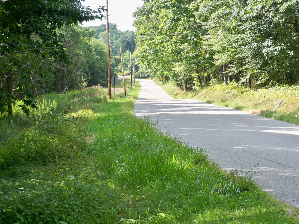 The road to the cabin. 