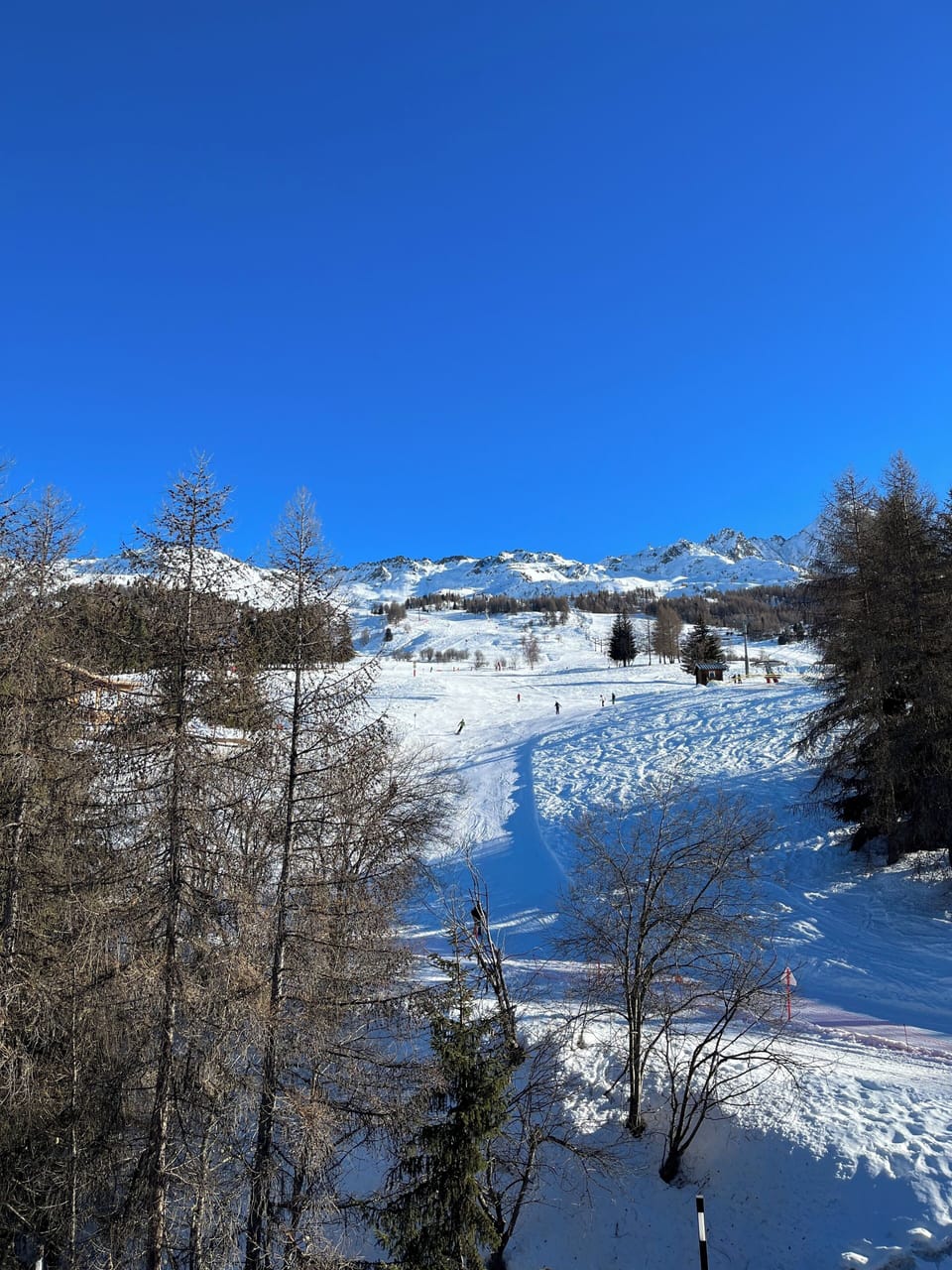 Snow and ski sports