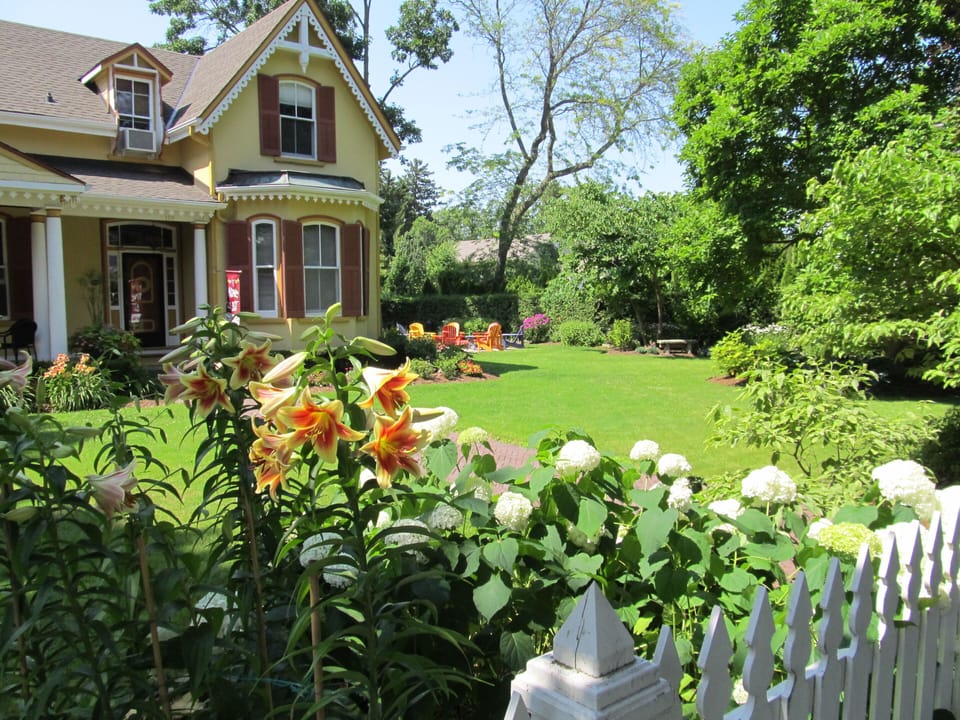 The lilies looked great last summer.