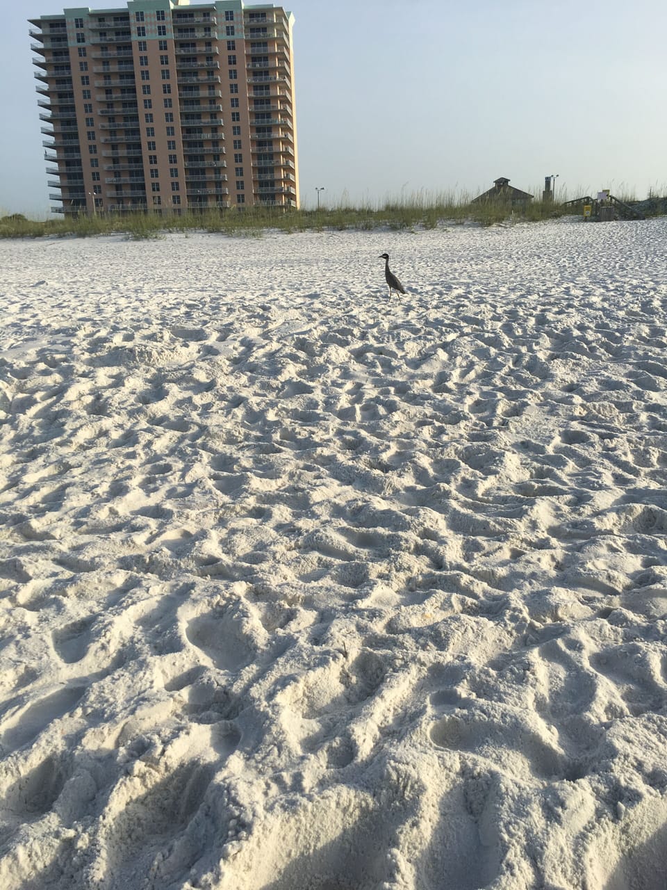Condo From the Beach