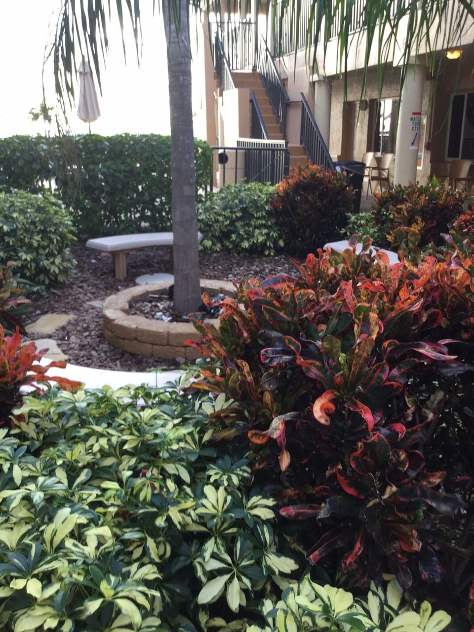 Outdoor garden area