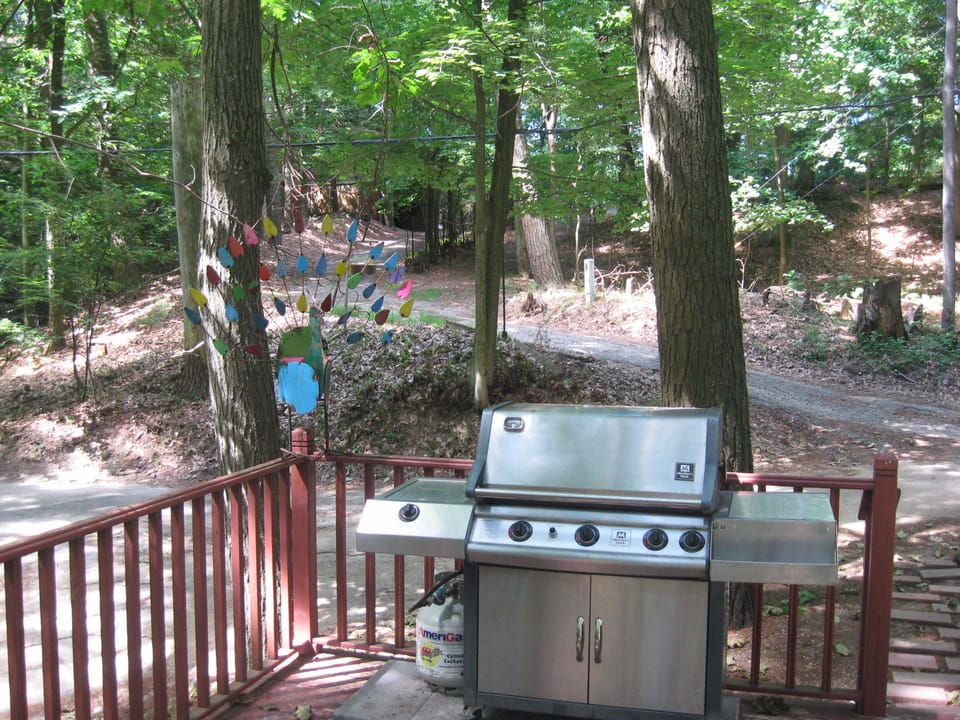 Deck with grill.... beyond path to the lookout