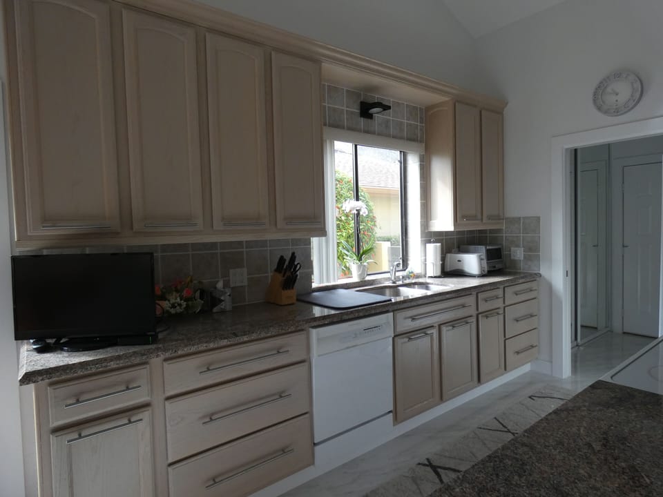 kitchen with smart tv and dishwasher