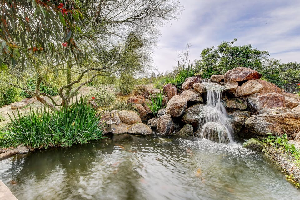 Koi Pond