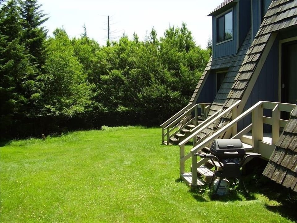 Feed the deer off of your back deck (the one w/ the gas grill)!!