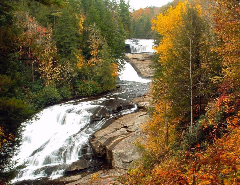DuPont Forest 