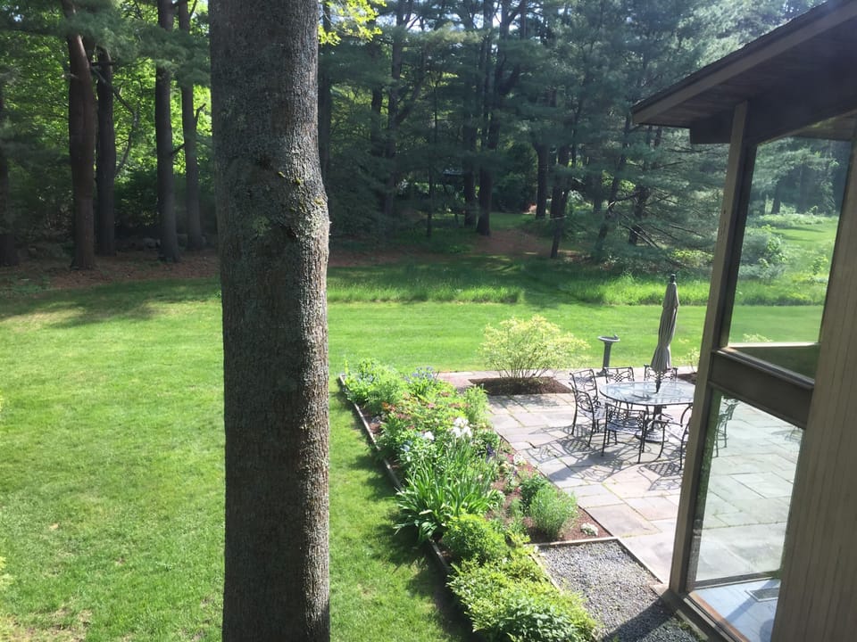 a view of the back of the house