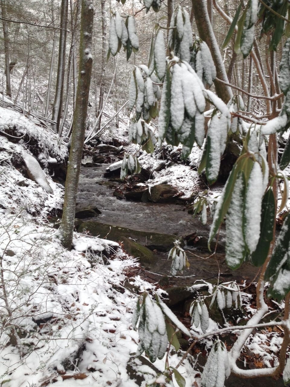 Winter snow before Thanksgiving this year on creek at cabin
