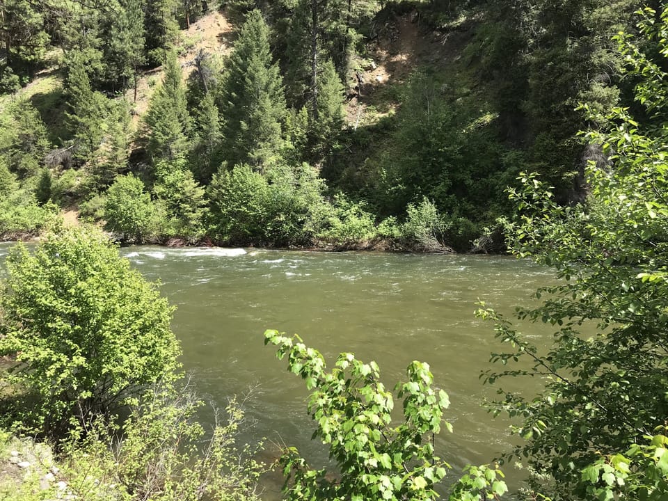 View downriver from house.
