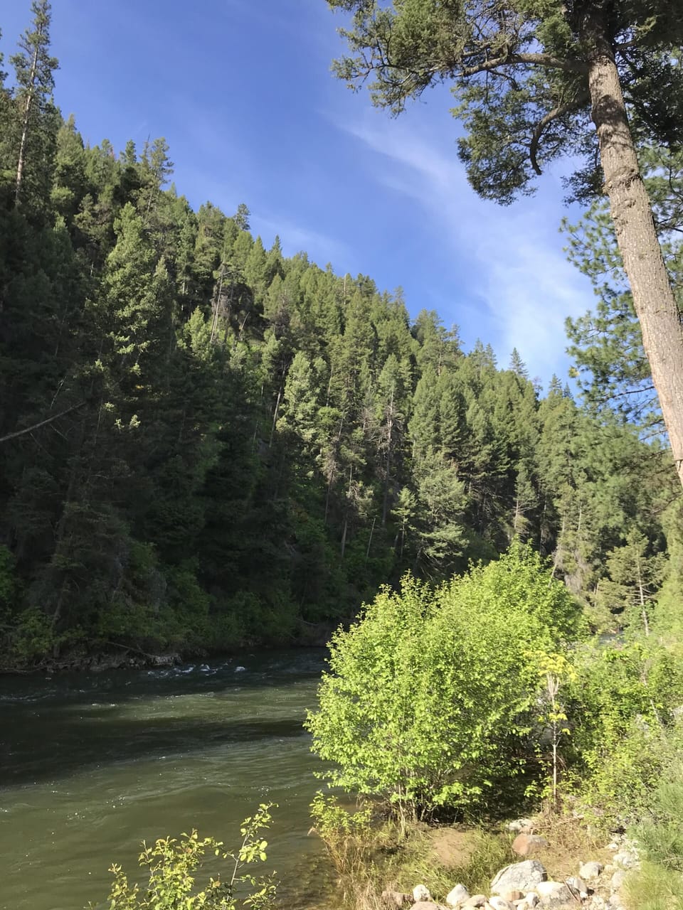 Looking upriver from middle porch.