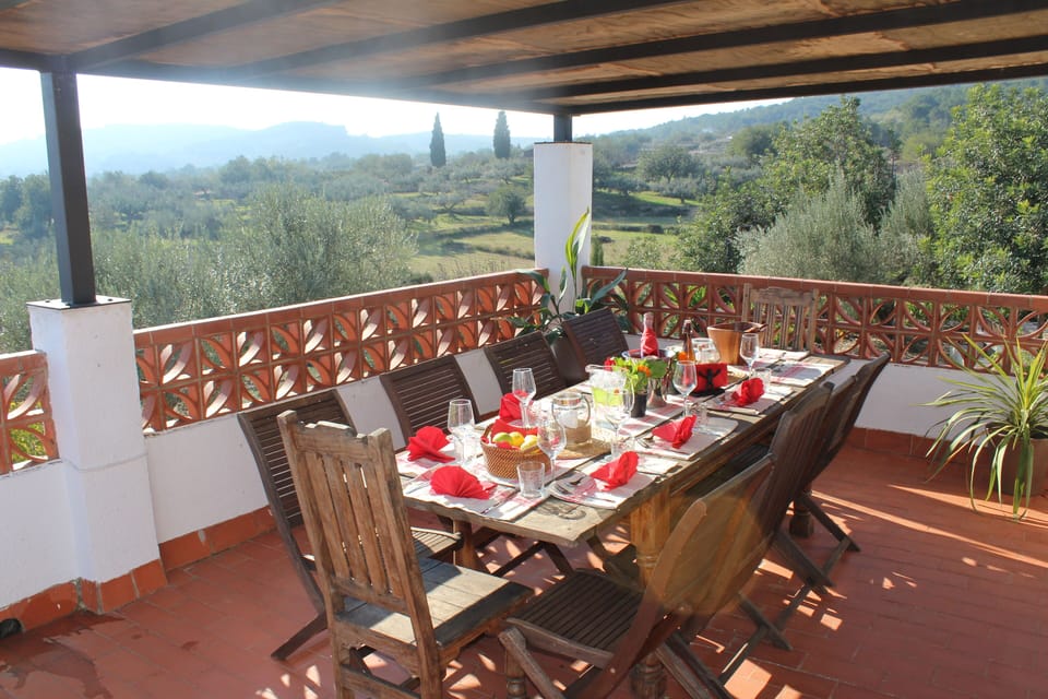 DINING ON THE TERRACE