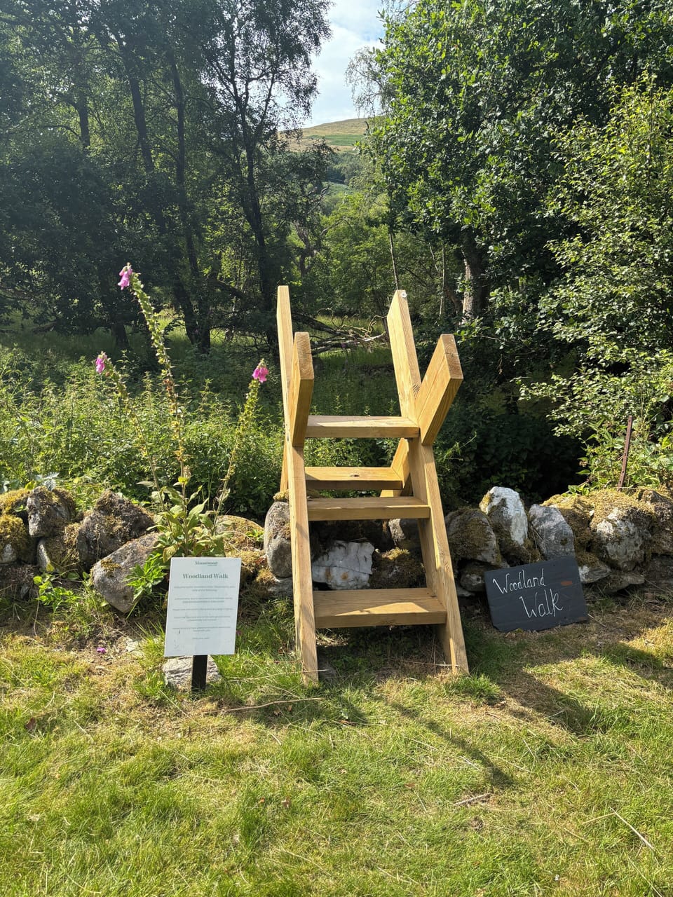 Children's area