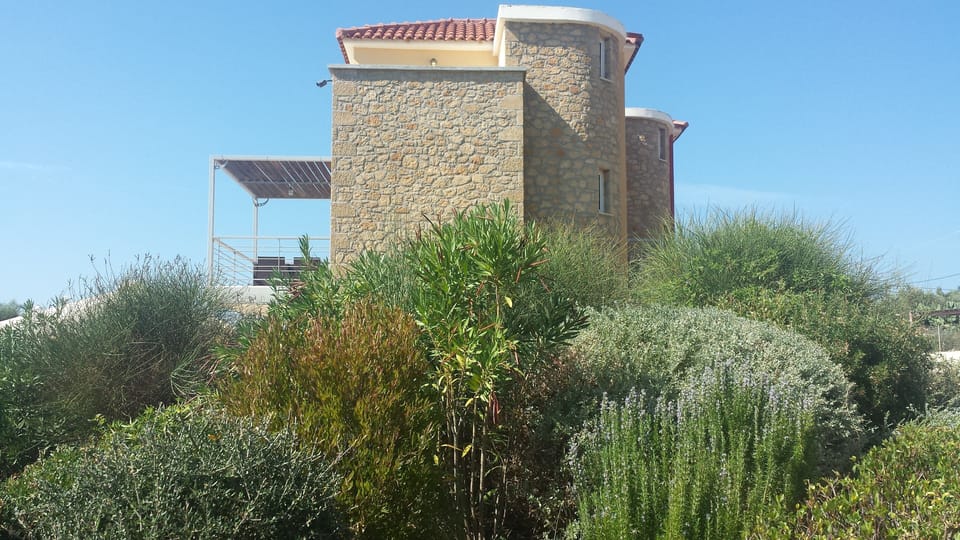 The exterior of the house 