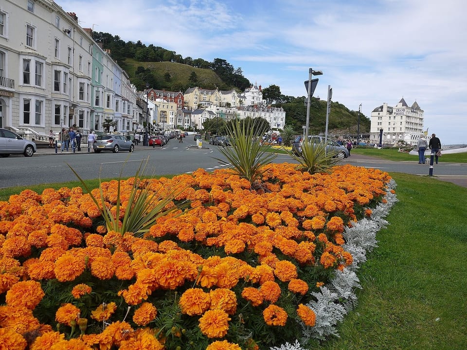 Llandudno Town