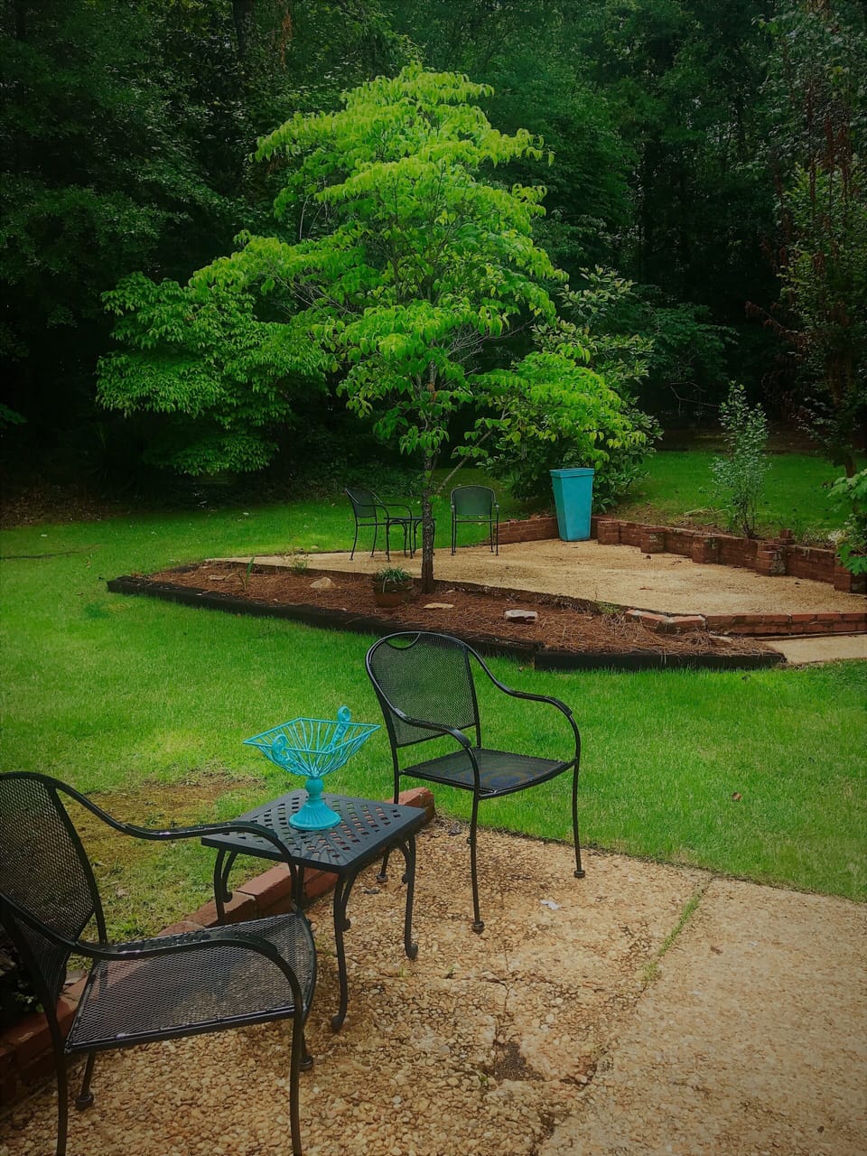 Private wooded backyard. No house is to the right of the property