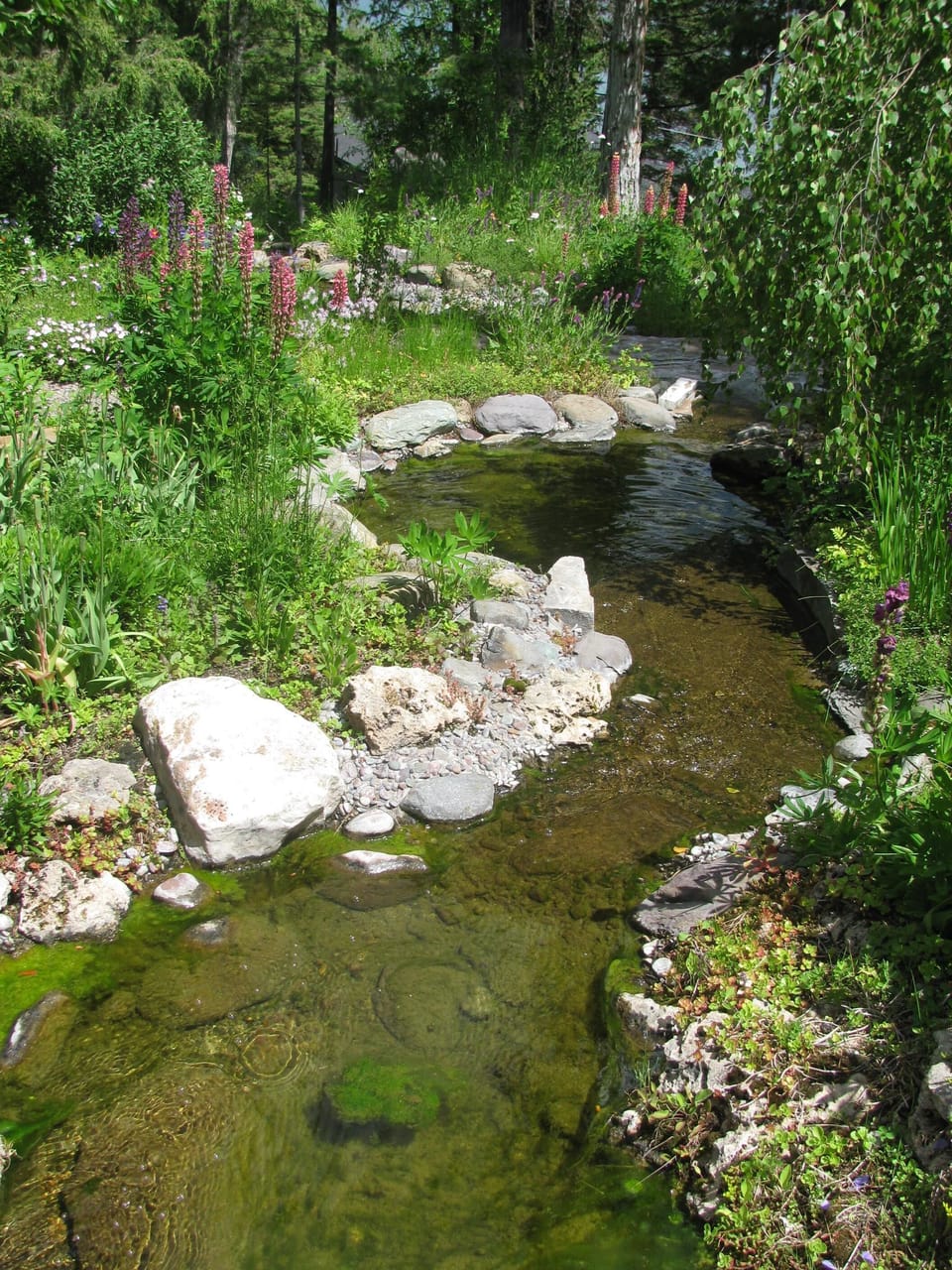 Babbling brook; natural acoustics to fall asleep to