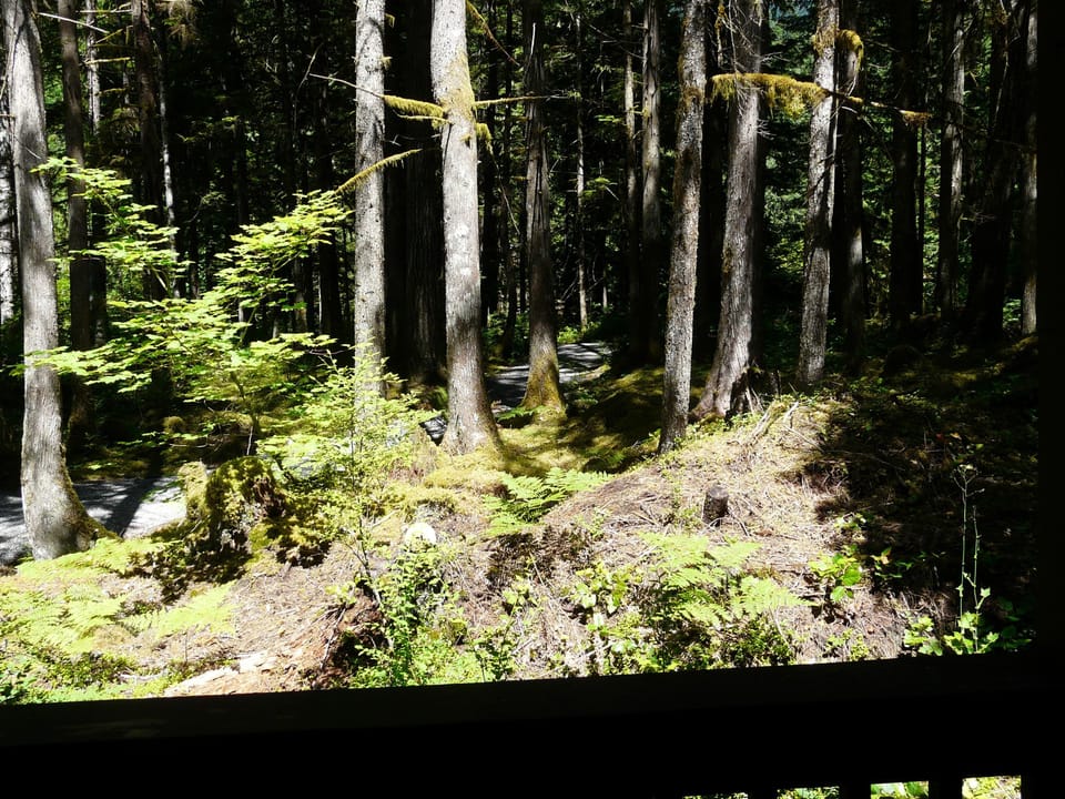 Trails off the private deck!