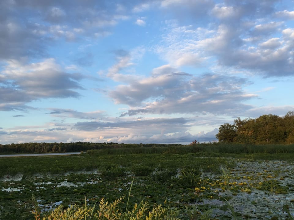 Cranberry Pond - view from back windows