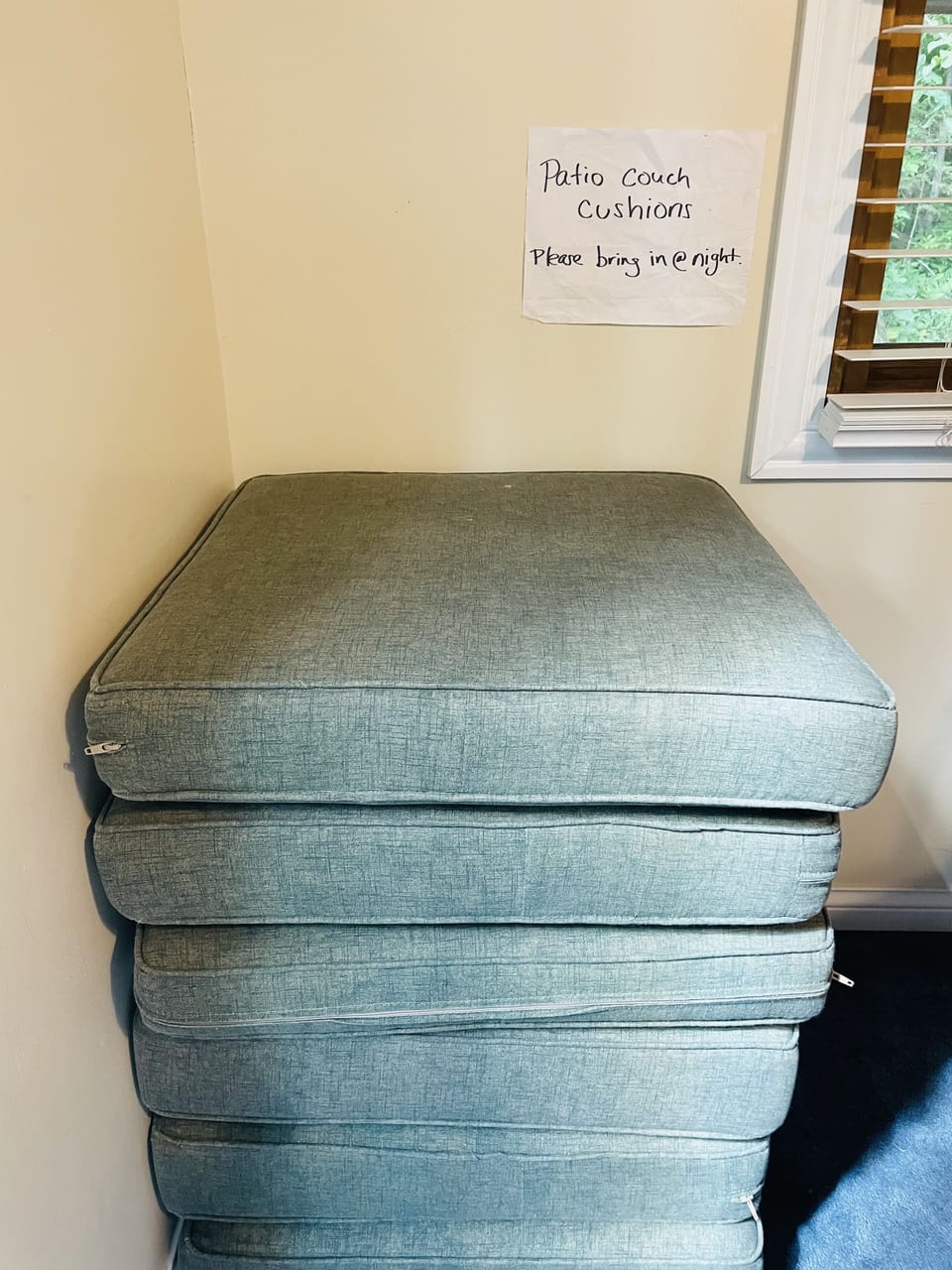 Patio cushions. Please bring in at night or when it rains 