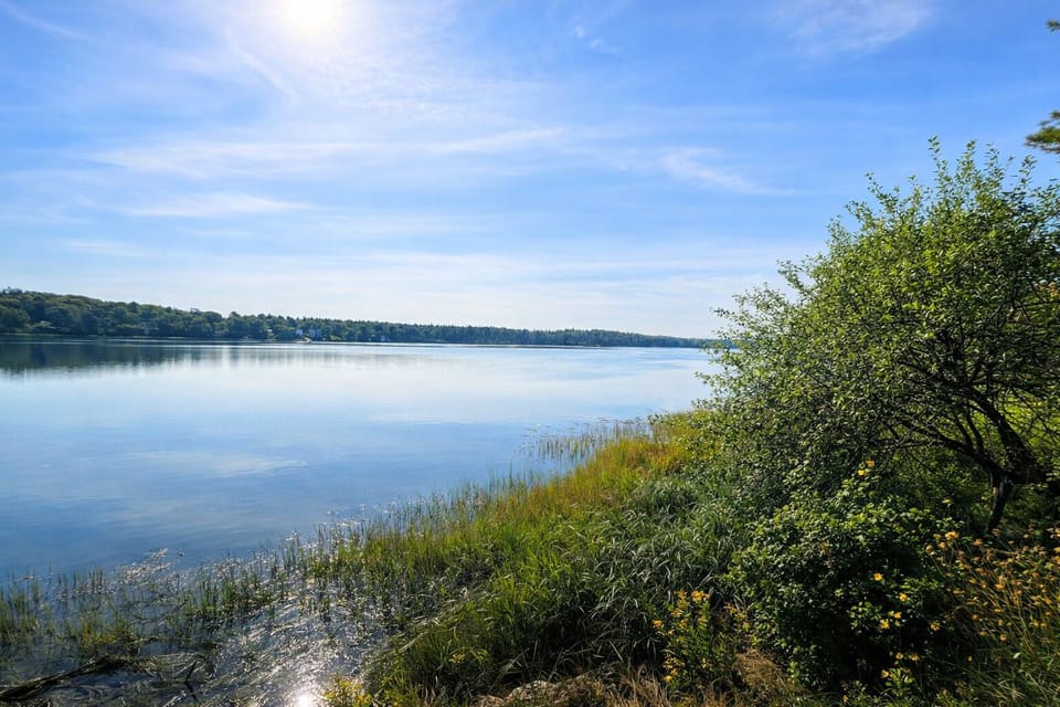 Basin Cove.