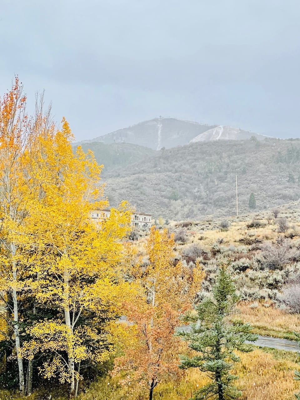 Changing seasons from deck.