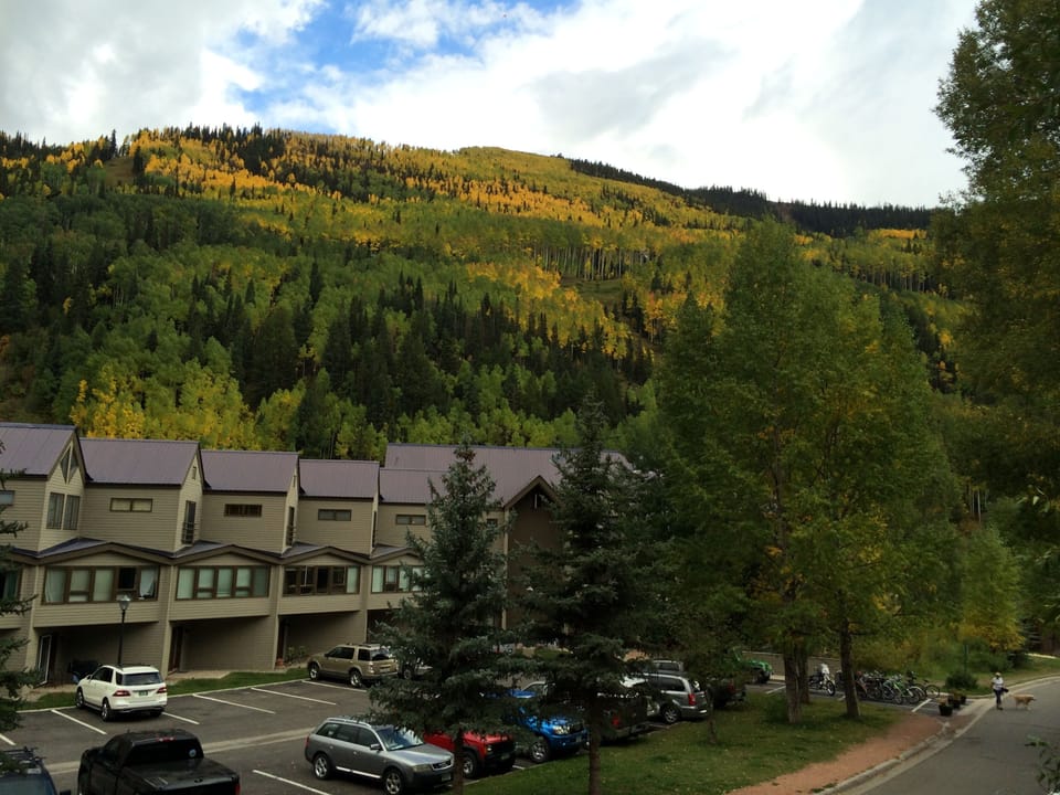 Fall colors from deck