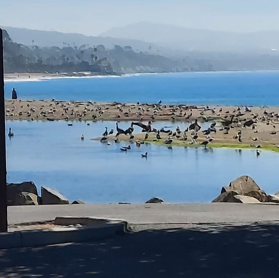 Doheny State Beach