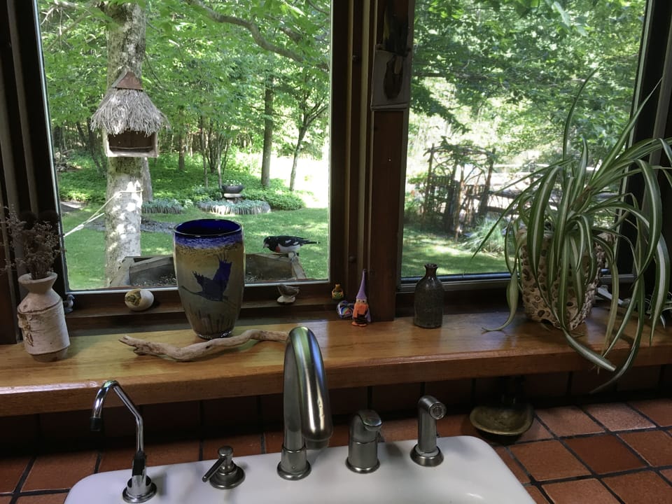 Bird at window feeder with view of birdhouse and arbor at garden 