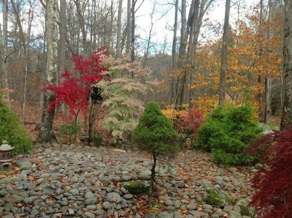 A few fall colors at the rock garden with mountain tops above