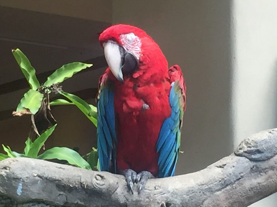 A colorful neighbor