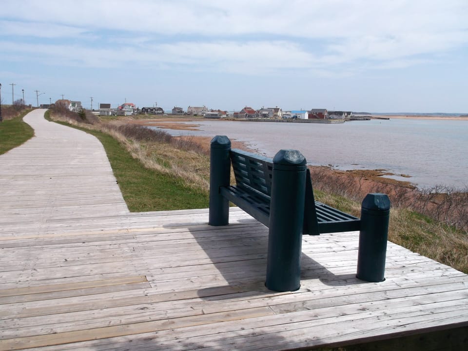 One of several benches with great views along the boardwalk.