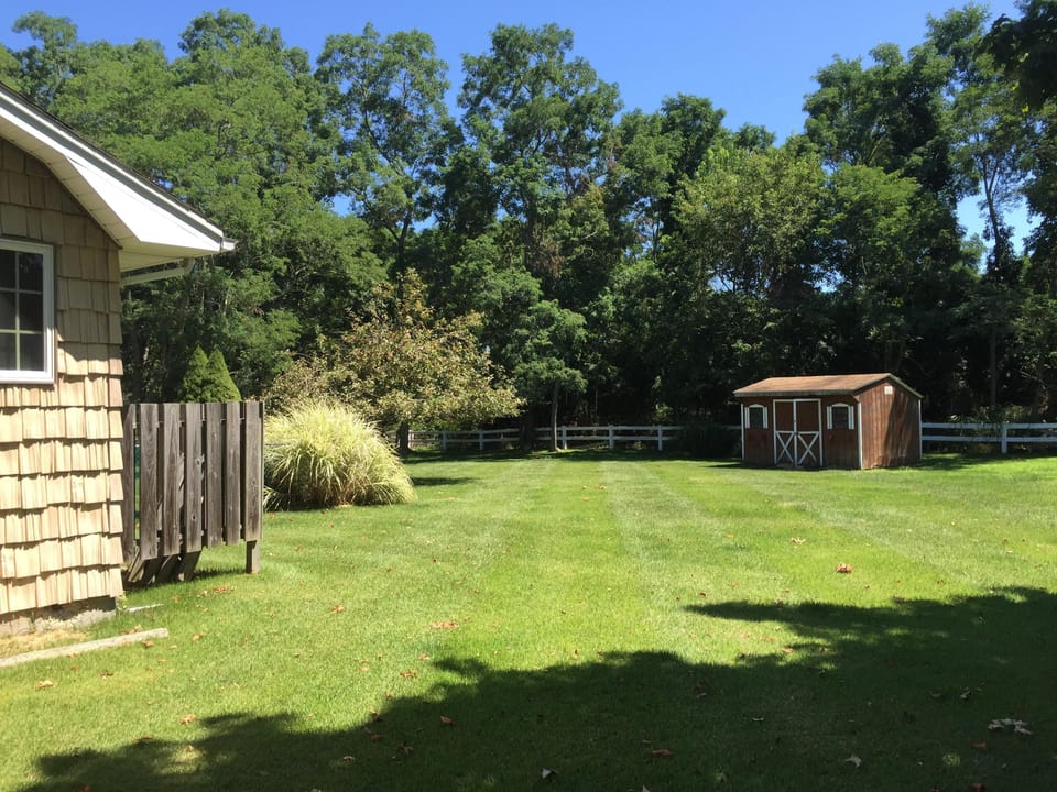 Backyard with outdoor shower