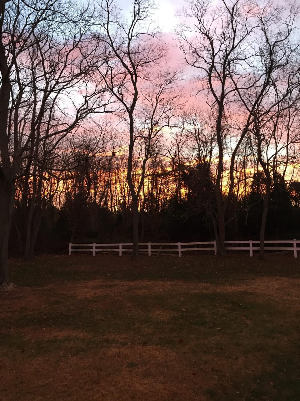 Sunrise in the backyard
