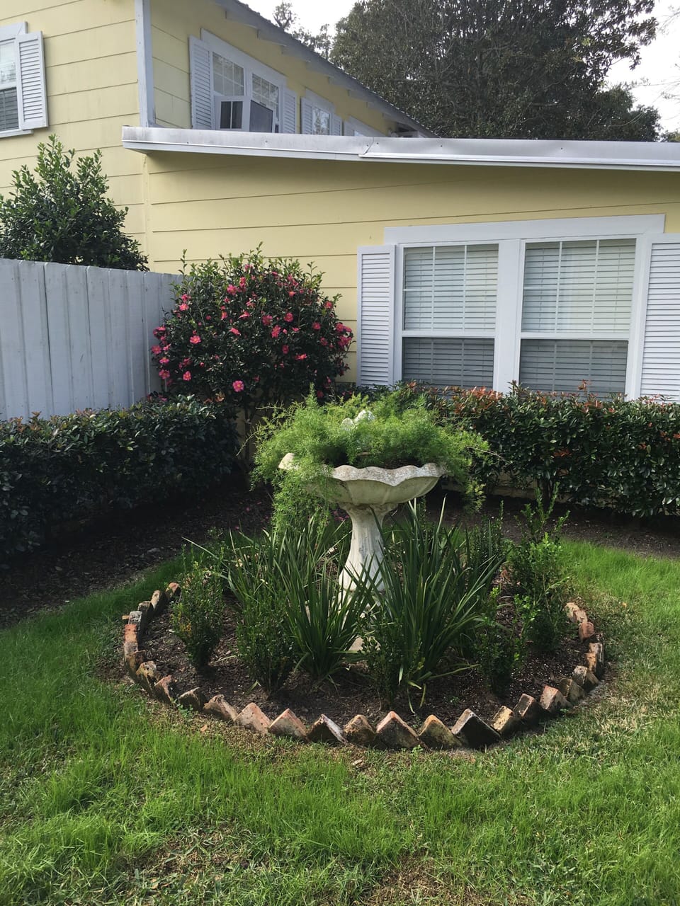 Backyard Garden 
